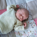 Rosie-11_cn